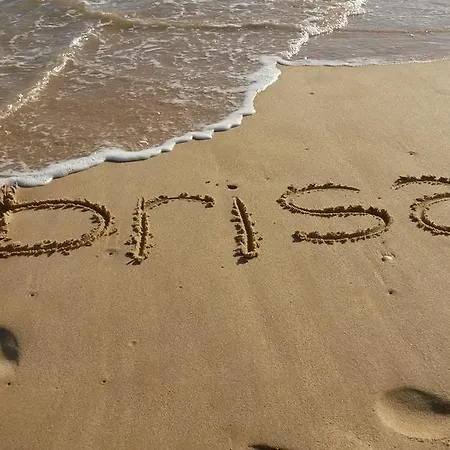 Brisa *